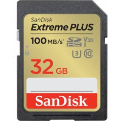 SanDisk SDSDXWT-032G-GNCIN