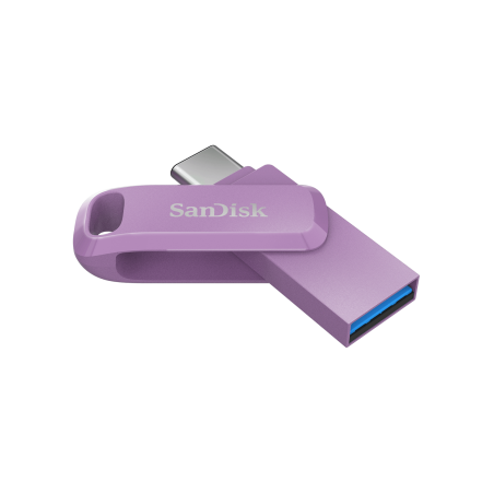 SanDisk SDDDC3-256G-G46L