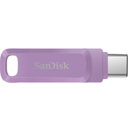 SanDisk SDDDC3-256G-G46L