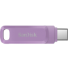 SanDisk SDDDC3-256G-G46L