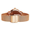 Pacific Ladies Chronograph Watch X6180-4 / multicolor