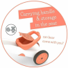 Chillafish CPBN03FLA Bunzi Balance Bike