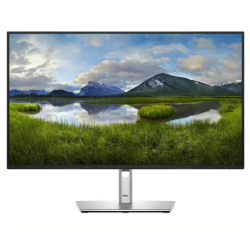 Dell P2425H Monitor 23.8"
