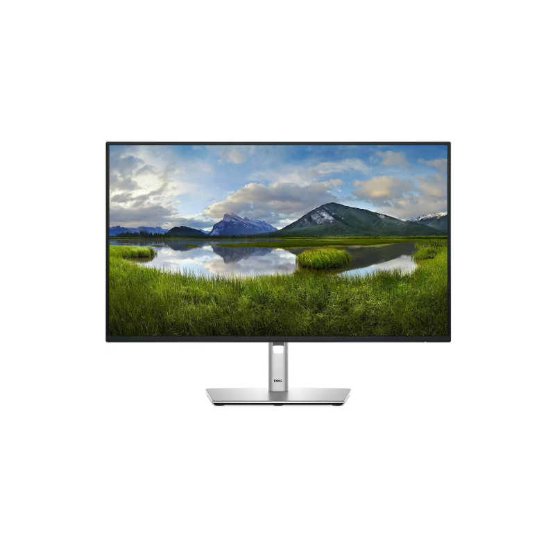 Dell P2425H Monitor 23.8"