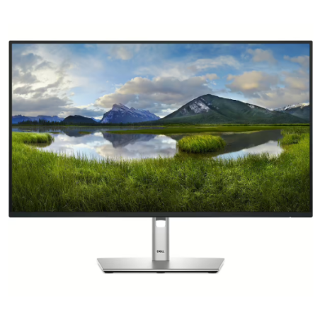 Dell P2425H Monitor 23.8"