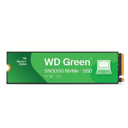 WD WDS100T4G0E