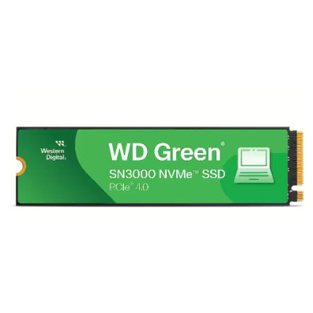WD WDS100T4G0E