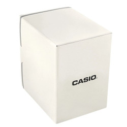 CASIO Men's Watch MTP-1221A-1AVEG / silver