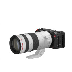Canon Cinema EOS C50 Handheld camcorder 34.2 MP CMOS Black