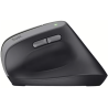 Trust Bayo II Ergonomic Wireless Mouse