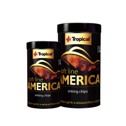 Tropical TRO67433