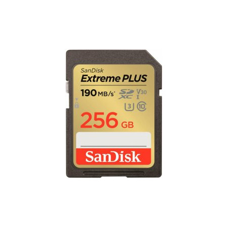 SanDisk Extreme PLUS Memory card SDXC / 256 GB