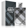 Burberry Brit Men Perfume EDT 100 ml