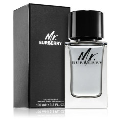 Burberry Mr. Burberry Perfume EDT 100 ml