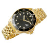 Paul Lorens PL13030B-1D1