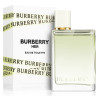Burberry 3616301975748