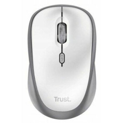 Trust 25513