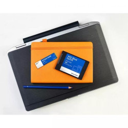 Western Digital Blue SA510 2.5" SSD Disk 1TB
