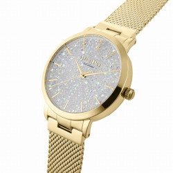 Paul Lorens Women’s Watch PPL00473B2-3D1-2 / silver