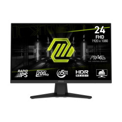 MSI MAG 244F