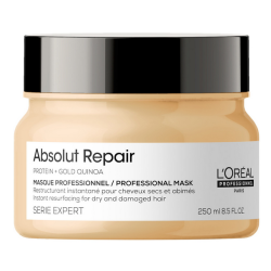 L'Oreal Professionnel Serie Expert Absolut Repair Hair Treatment Cream Mask 250ml