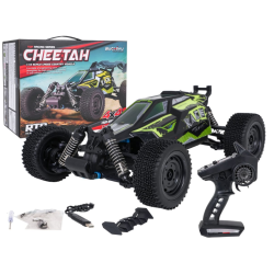 RoGer R/C Racing cheetah Radio-controlled car