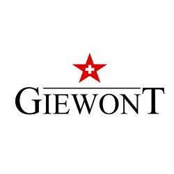 GIEWONT RealSound PRO ANC ENC GWS800-1 Wireless Headphones / black