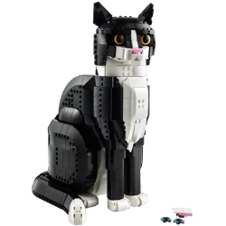 LEGO 21349