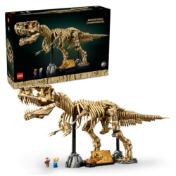 LEGO 76968